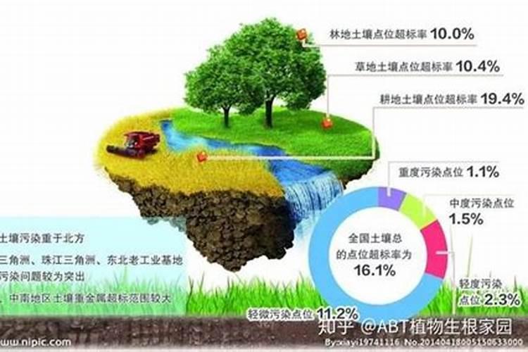 土地之痛：揭露不合理的施肥方式及其后果？