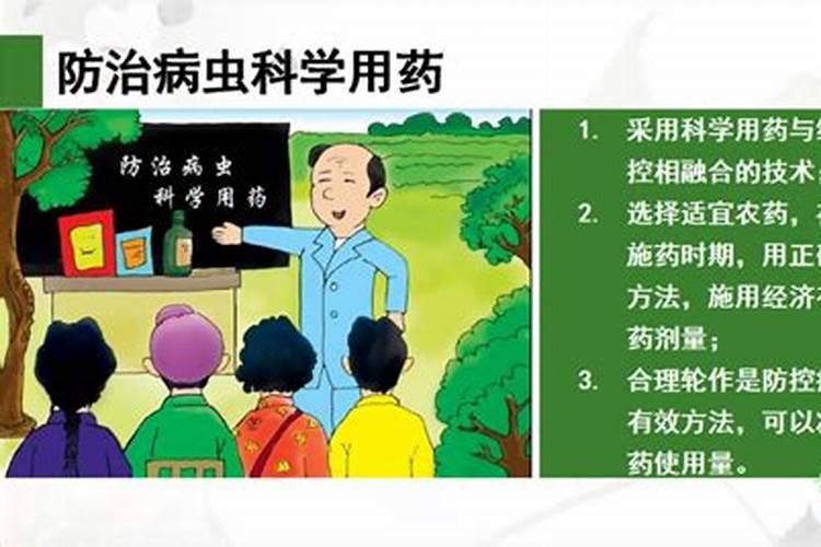 绿色守护：六大策略减少农药使用，守护生态与健康