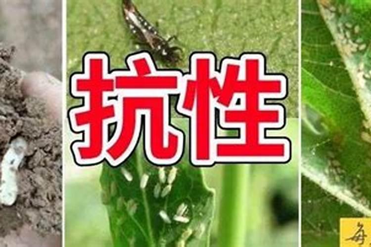 菜田蚯蚓危害严重怎么办