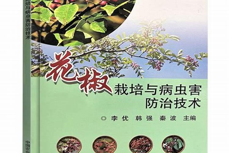 守护甘甜：小型西瓜病虫害防治与合理用药指南