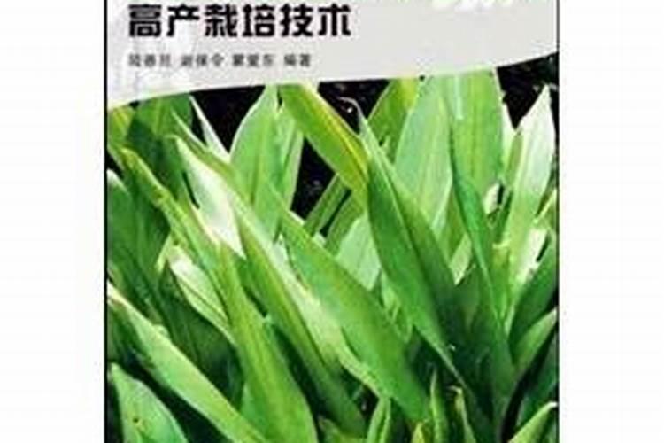 郁金的高产种植技术？