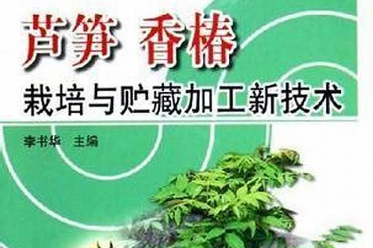 即时香椿的加工技术