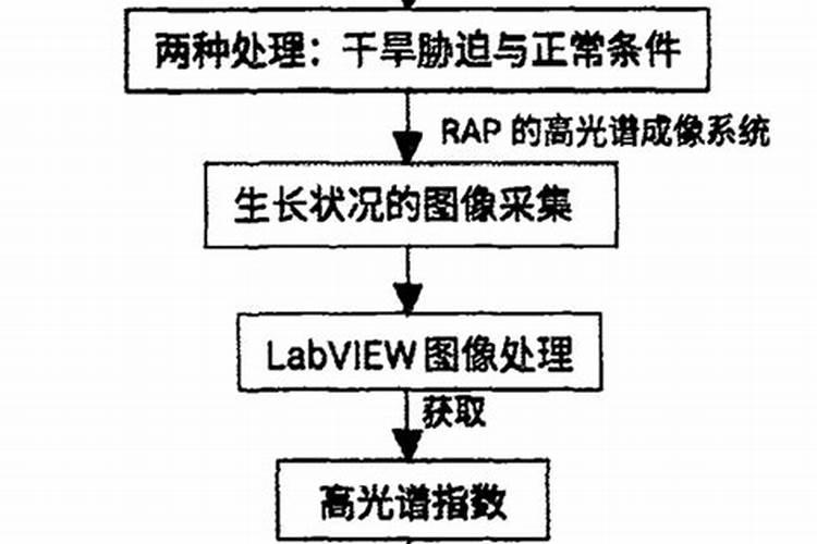 玉米抗旱剂的使用方法？