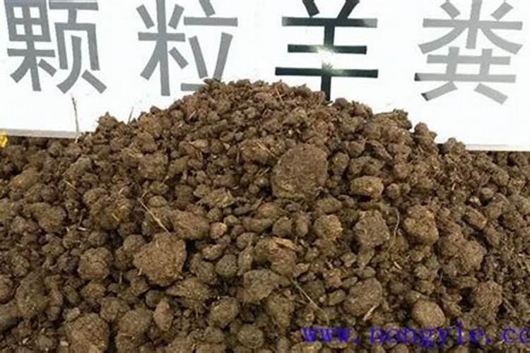 水溶肥要发酵多久才能使用肥料？