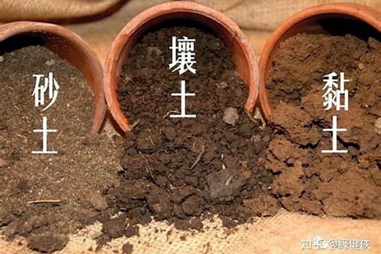 求解答:为什么砂土、壤土、粘土的供肥能力不同？谢谢大家!