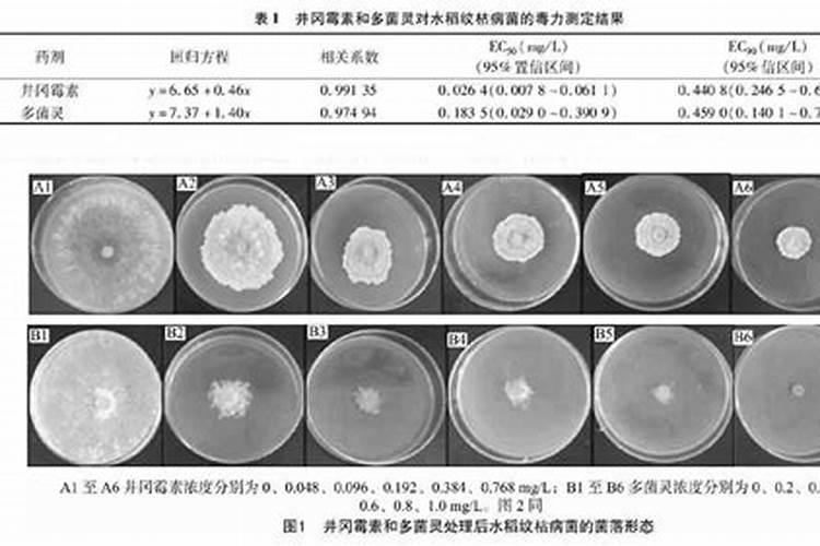 多菌灵和井冈霉素混用防纹枯病效果如何？