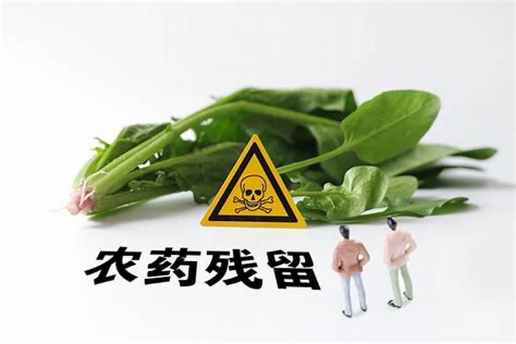 守护食品安全：有效降低蔬菜中农药残留的策略