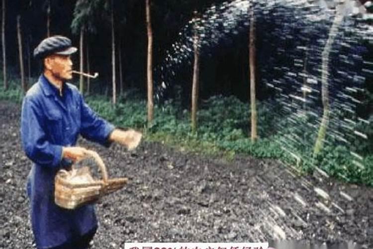 过量施用化肥危害大要有对策的防治