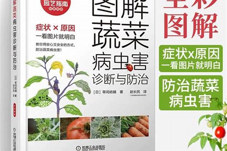 绿色守护：蔬菜虫害防治与用药全攻略