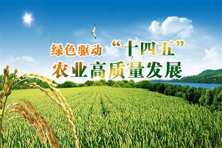 微生物农药：农业可持续发展的绿色守护者