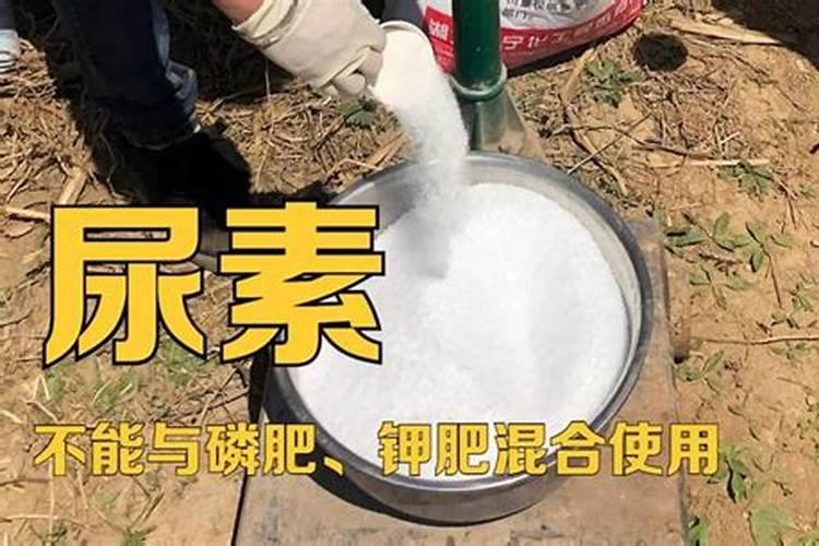 磷肥可以用来植树不浇水吗为什么？