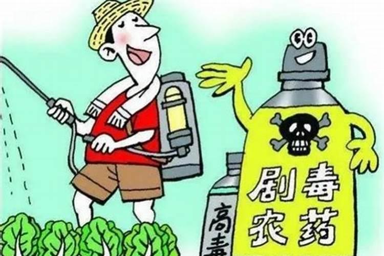 百草枯中毒：生死一线间的生存挑战