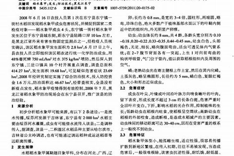 水稻细菌性条斑病发生规律及综合防治策略