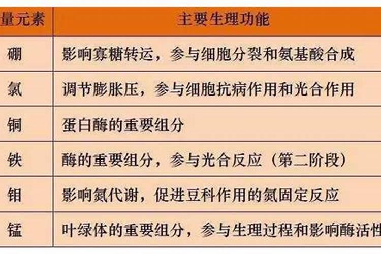 为什么叶面喷施微量营养元素的效果好？