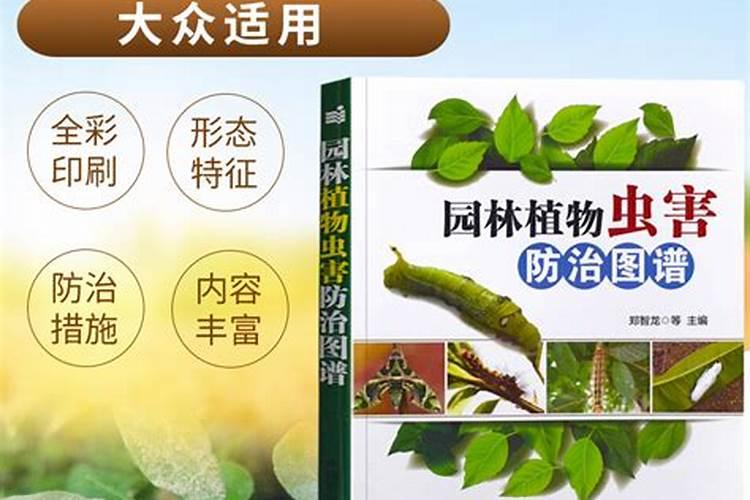 绿野仙踪：药用植物虫害防治的智慧之旅