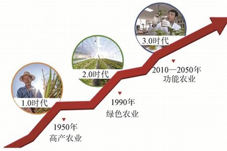 缓控释肥：高效农业的未来