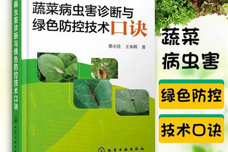 守护绿色餐桌：棚室蔬菜用药的科学与艺术