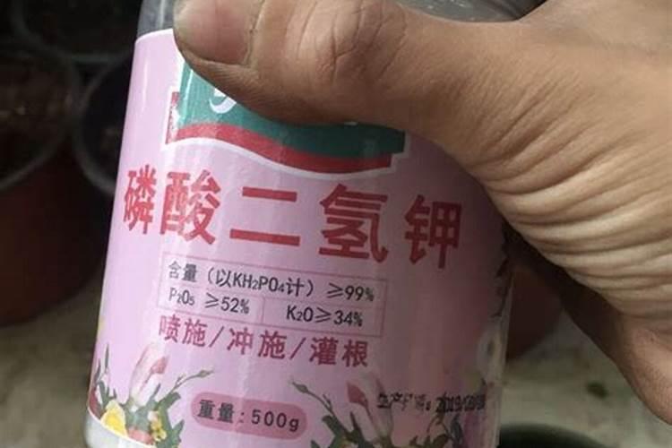 高钙精钾肥如何使用效果好？