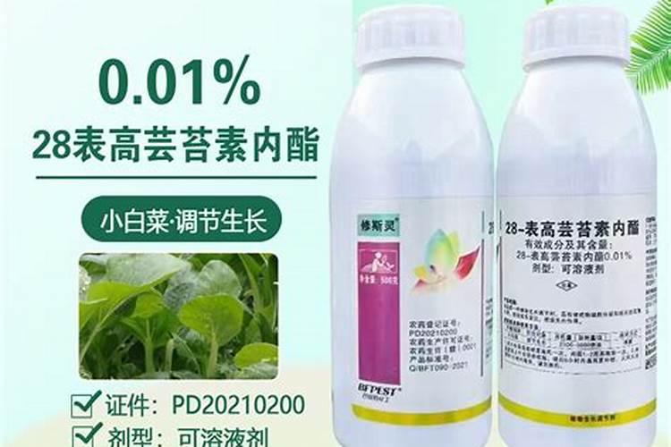 芸苔素内酯能治黄龙病吗怎么用？