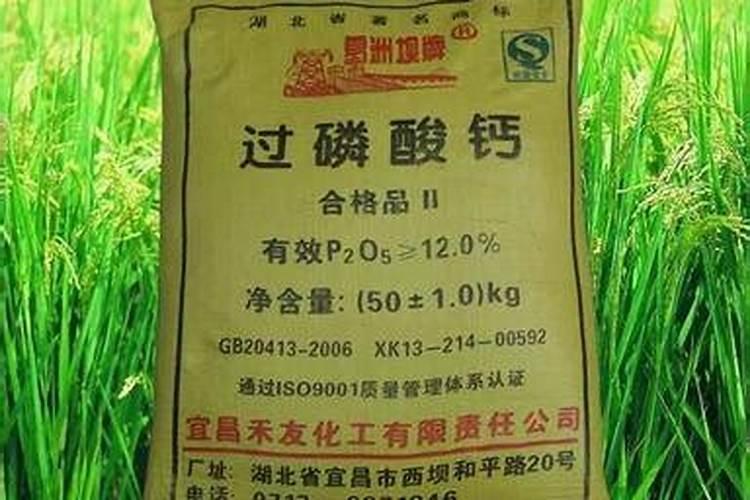 精通钙镁磷肥：施用指南与最佳实践