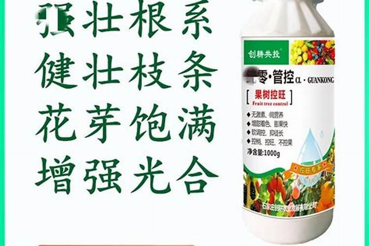 生长调节剂怎样用于果树控长促花？