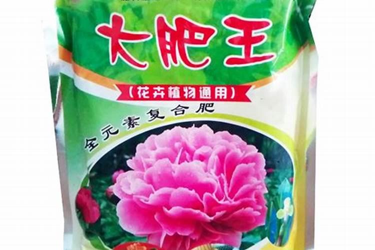 花肥王是什么肥料，大肥王哪些花可以用？