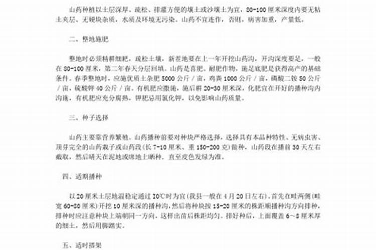 紫山药无公害高产栽培技术揭秘