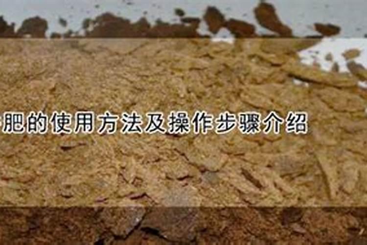 饼肥的使用方法及操作步骤介绍：为你的植物提供营养与健康？