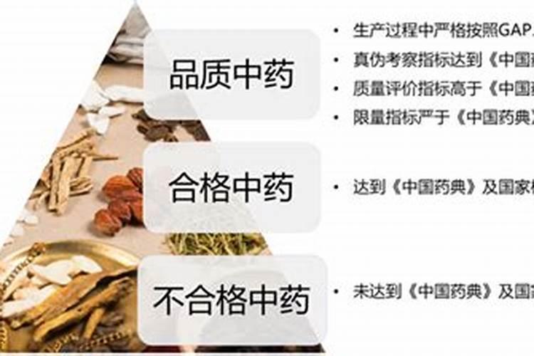 春季中药材管理的艺术：确保品质与效益的双重丰收