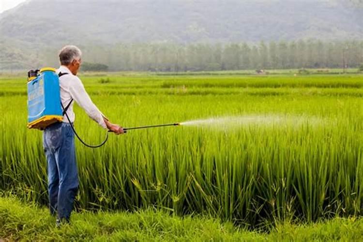 使用生物农药,环境条件是什么呢？