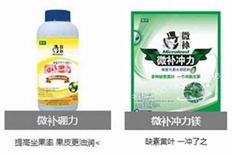 高磷冲施肥料有哪些种类？