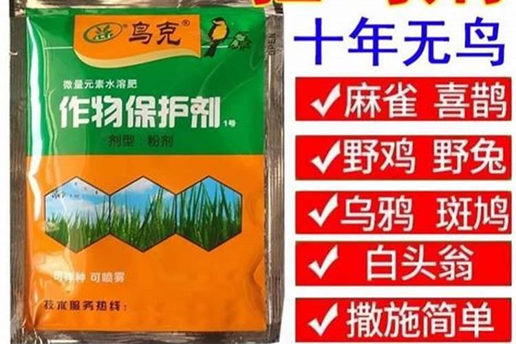 农田守护者：拌种剂的安全使用与药害防范