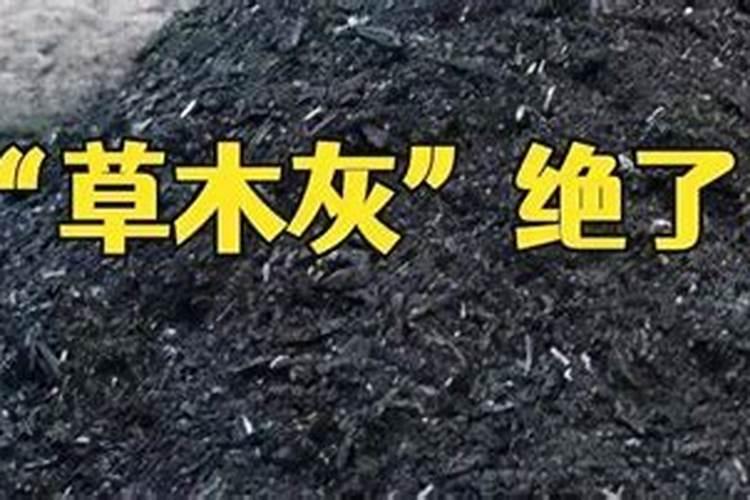 厉害了草木灰！原来竟有这么多用处！？