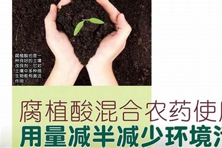 绿色耕耘：策略与实践降低农药用量