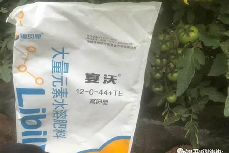 如何给露地蔬菜施水溶肥液肥料？