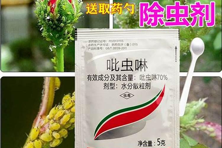 农药除菌与斩虫药剂的科学选用要点：确保作物健康与环境安全