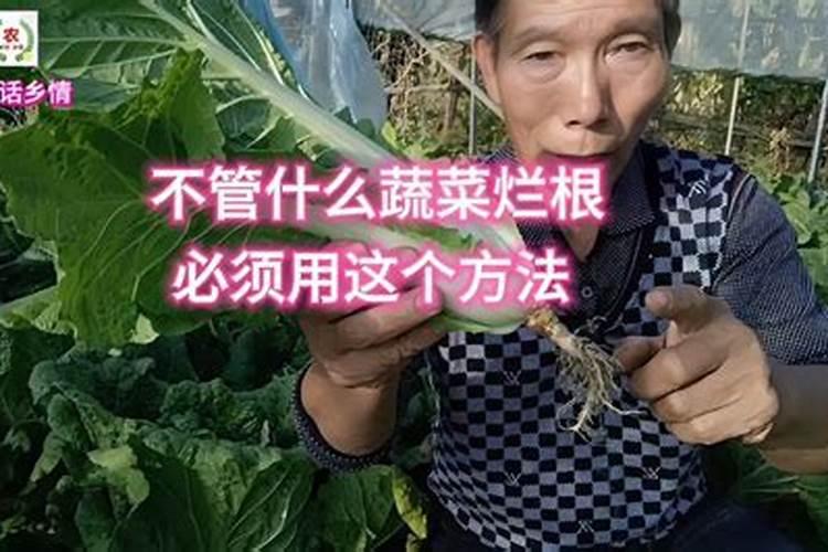 防治蔬菜烂根有几种方法？