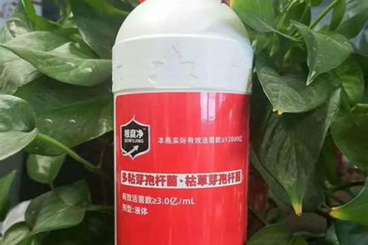 花生果腐病可以用多菌灵灌根吗？