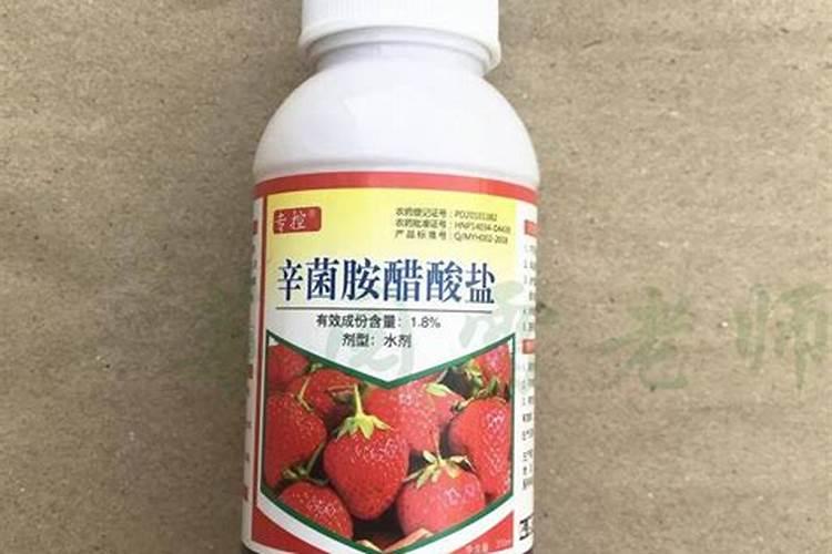 细菌性病害专用杀菌剂有哪些？该如何选择和使用？