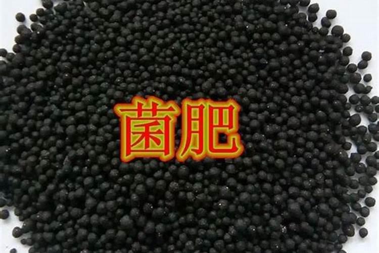 揭秘土壤的营养师：生物肥与菌肥的区别？