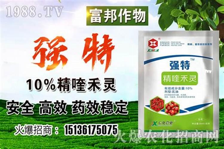 吡嘧磺隆防治哪些杂草,使用方法,使用注意事项