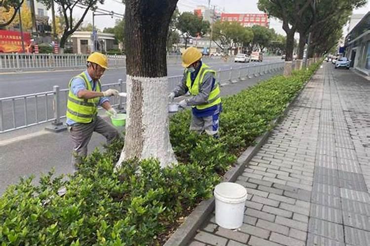 树木低温危害的部位和原理是什么？