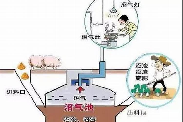 沼气液怎么利用你知道吗？