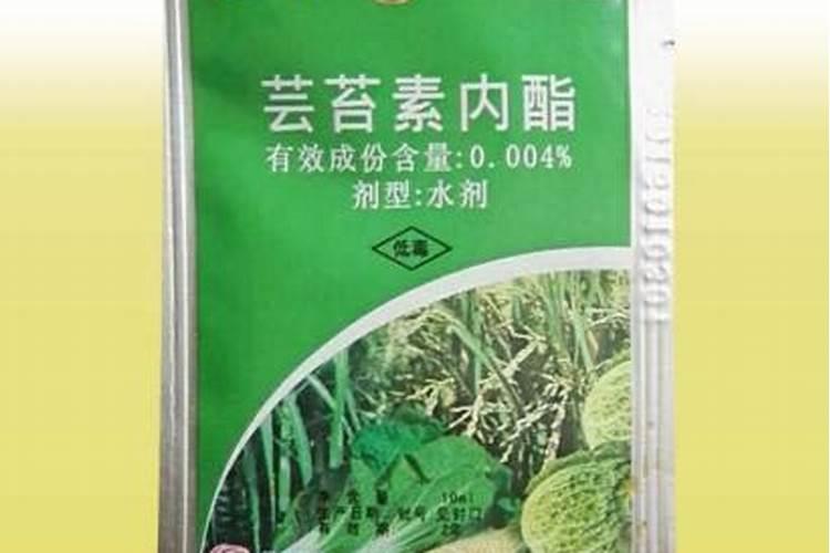 杜鹃花怎么用芸苔素施肥？