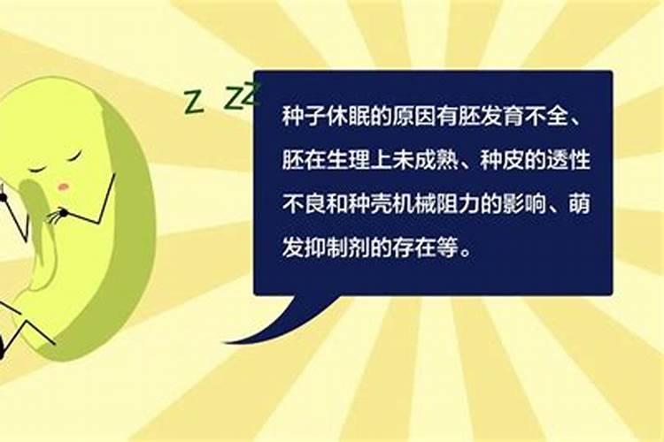 种子休眠的原因是什么？人工如何控制？