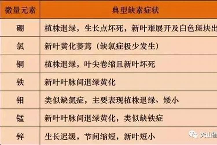 微量元素钼有哪些功能,缺乏表现及如何正确的补充？