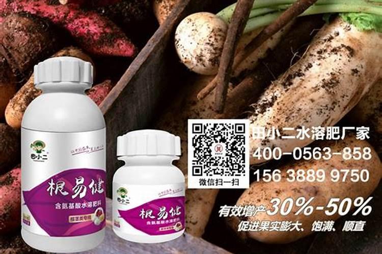 掌握关键：菌肥施用的7大注意事项