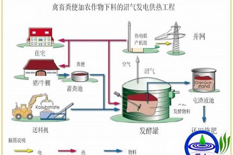 沼气发酵产物的综合利用指的是什么？