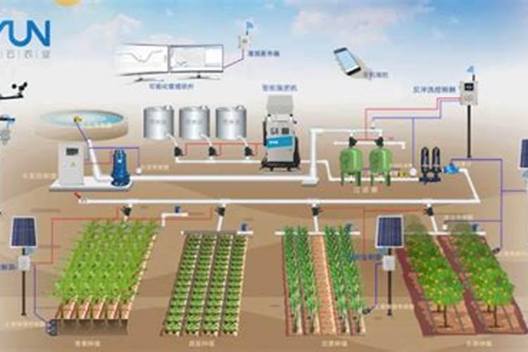 圆葱高产的秘密：精准施肥技术解析