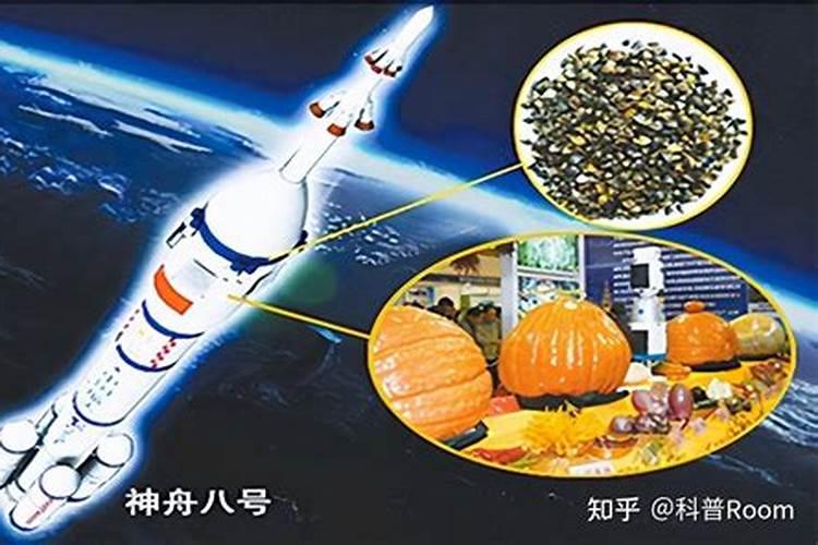 什么是太空育种？太空育种的好处？